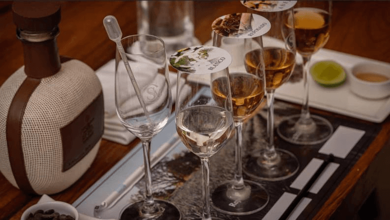 Avenida restaurant hospitality concept